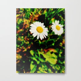 Flower Metal Print | Flowers, Color, Photo, Life, Digital Manipulation, Nature 