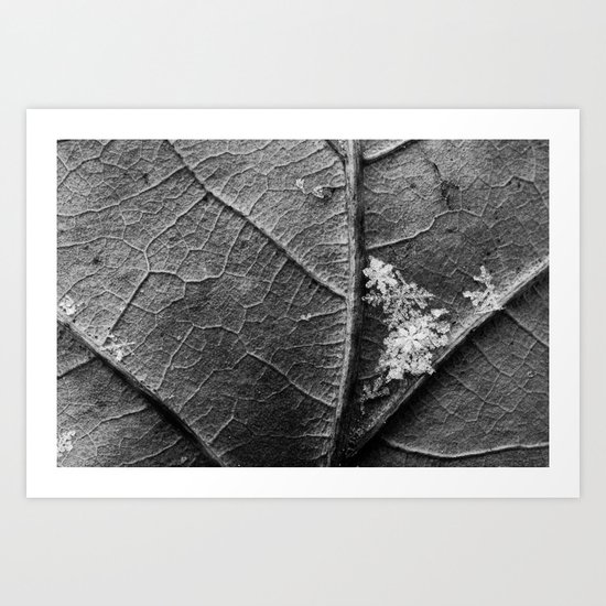 the gathering Art Print
