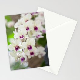 Orchids Stationery Cards
