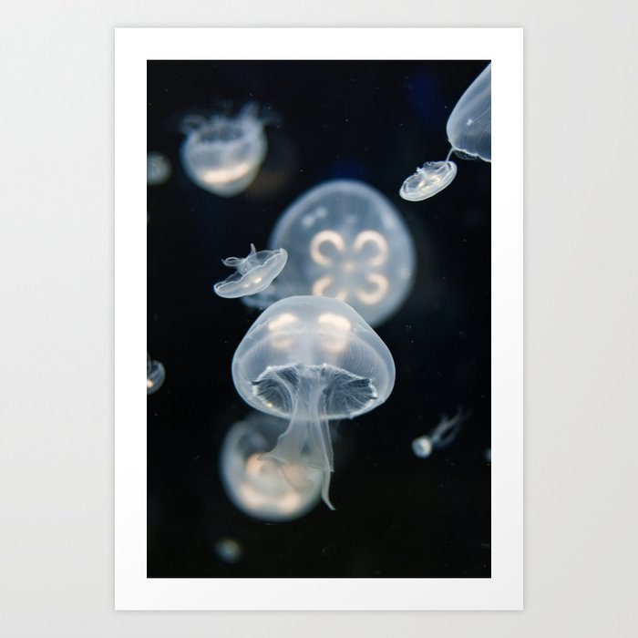 Moon Jellyfish Deep Blue Art Print