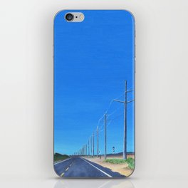 Highway 12 South iPhone Skin