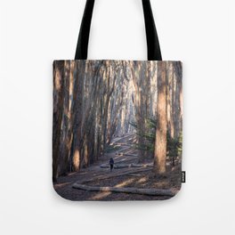 Andy Goldsworthy Wood Line, San Francisco Photography, California Fine Art, Woodland, Enchanted Forest Home Decor Tote Bag