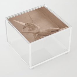 Psyche Revived by Cupid's Kiss Acrylic Box