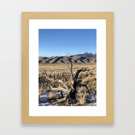 Juniper at the Dunes Framed Art Print