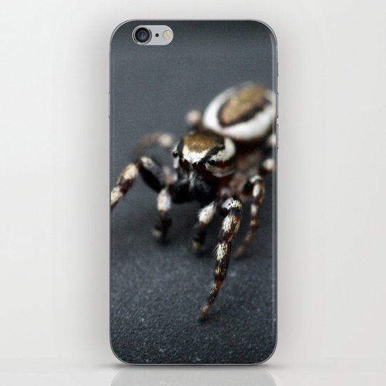Jumping Spider iPhone & iPod Skin