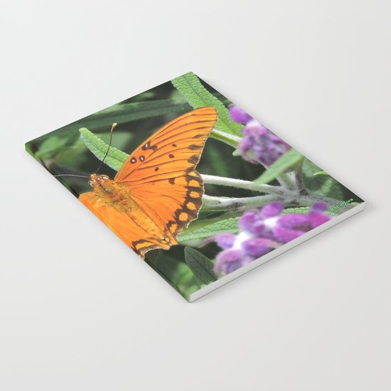 A Gulf Fritillary Shows Wear and Tear Notebook