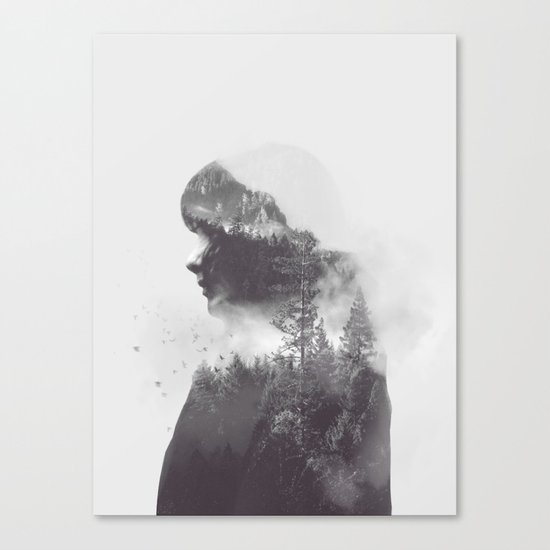 Clarity Canvas Print
