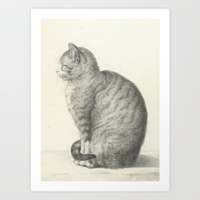 Vintage Cat Illustration, 1815 Art Print