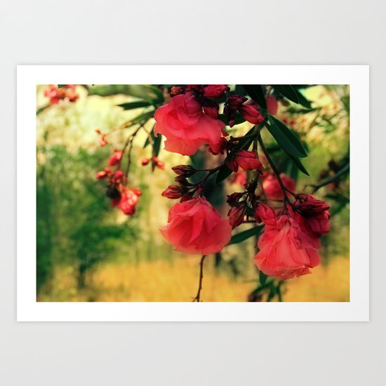 A promise of sweet softness Art Print