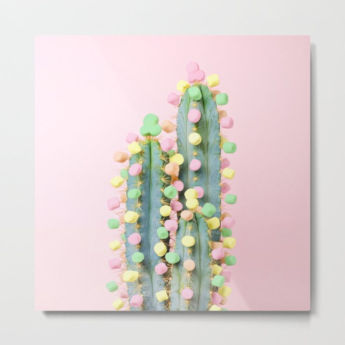 Marshmallow Cactus in Bloom Metal Print
