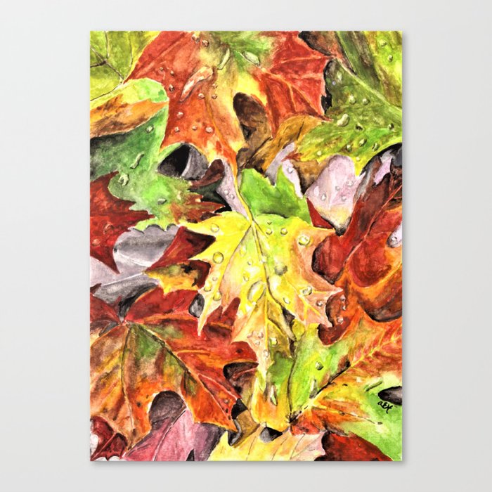 Autumn Leaves Of A Japanese Maple In - Canvas Artwork