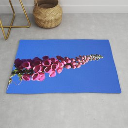 Foxglove Rug | Flora, Display, Blossom, Single, Nature, Photo, Foxglove, Florist, Pink, Bunch 