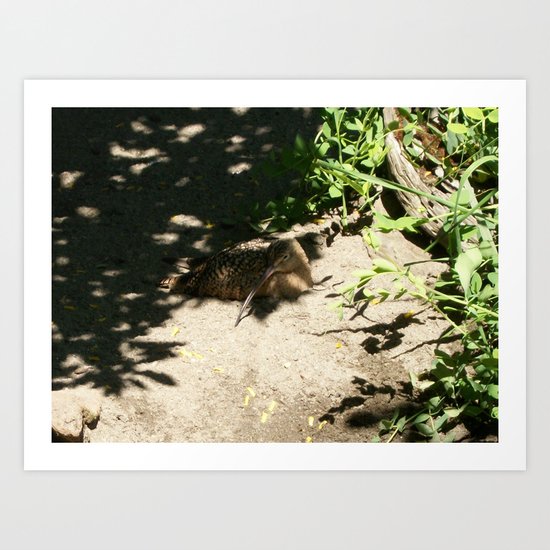 Mother Bird - Sandpiper Art Print
