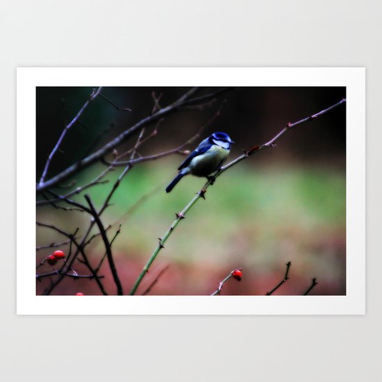 Tweet Tweet - JUSTART © Art Print