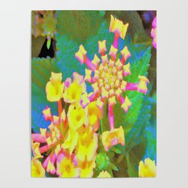 Exotic Pink and Yellow Flowers on Blue and Green Poster
