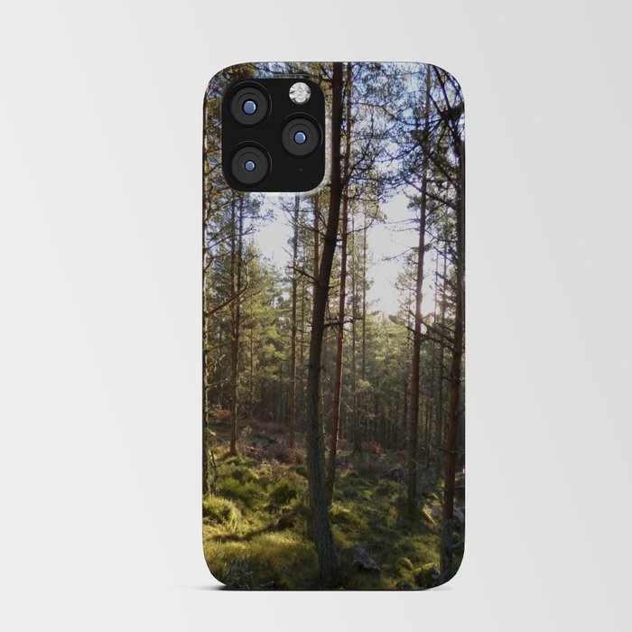 Winter Sunlight in a Scottish Pine Forest iPhone Card Case