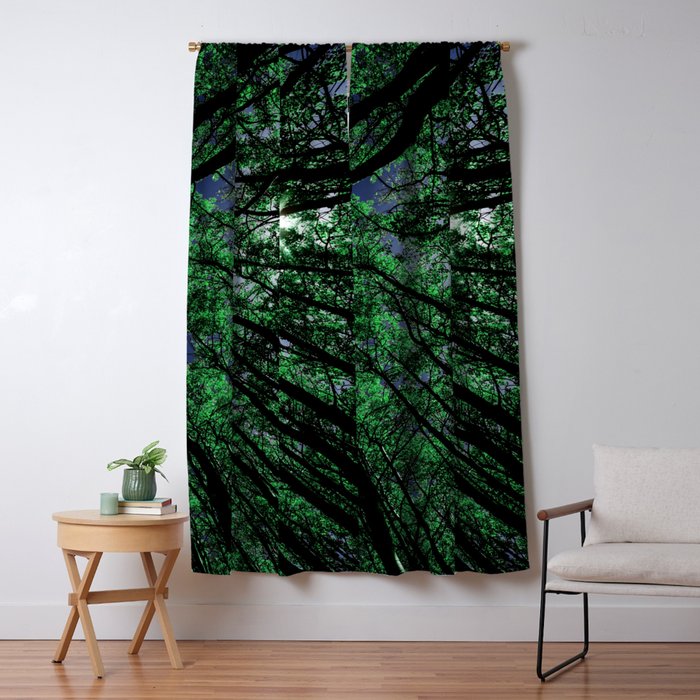 Blackout Curtain