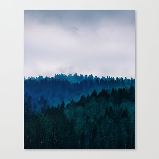 Into the Wilderness Canvas Print