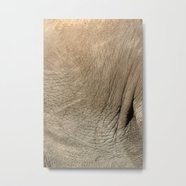 Elephant Hide Metal Print