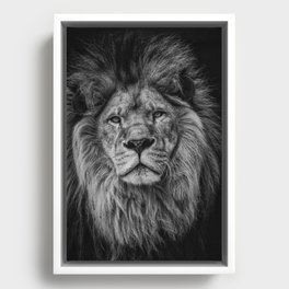 Fierce Lion Framed Canvas