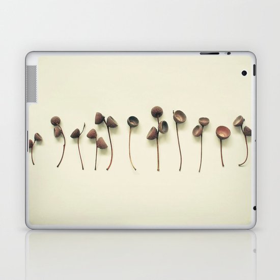 Acorn Collection Laptop & iPad Skin