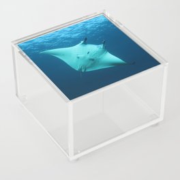 Beautiful manta ray's underbelly Acrylic Box