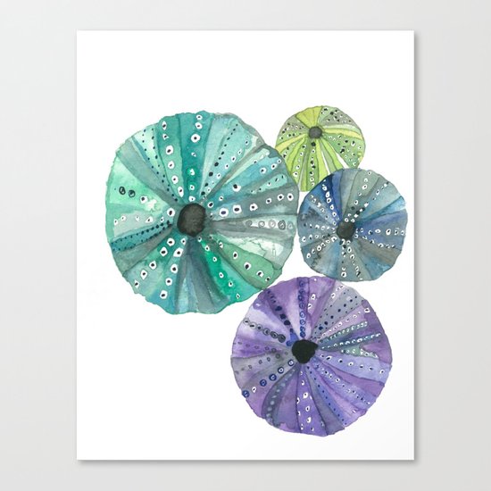 Hawaiian Sea No. 2 Sea Urchins Canvas Print