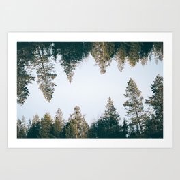 Forest Reflections V Art Print
