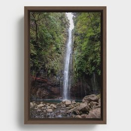 Waterfall with Lush Ferns | Madeira Framed Canvas