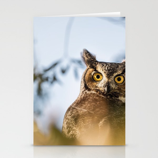 Okanagan Owl Stationery Cards
