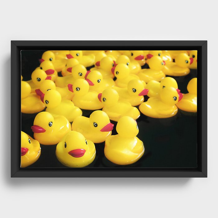 Little Ducklings Framed Canvas