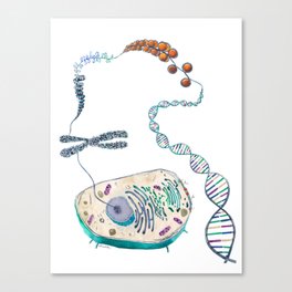 Cell to Helix Canvas Print