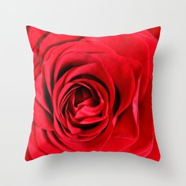 Red Rose Close-up #decor #society6 #buyart Throw Pillow | Nature, Mother, Digital, Petal, Vintage, Macro, Floral, Red, Garden, Beautiful 