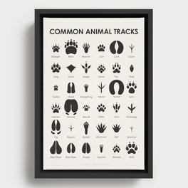 Animal Tracks Identification Chart or Guide Framed Canvas