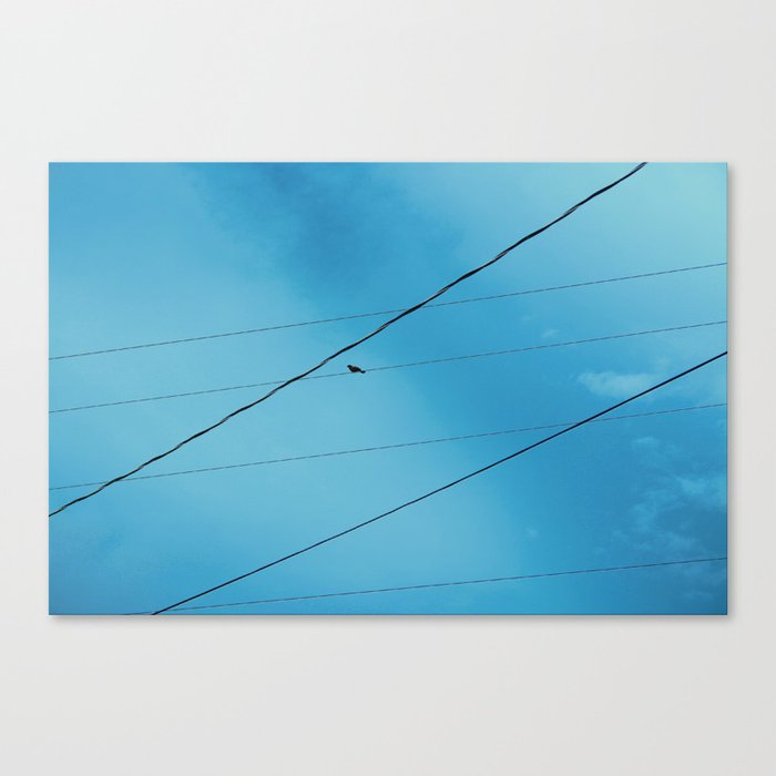 Bird on Wire Canvas Print