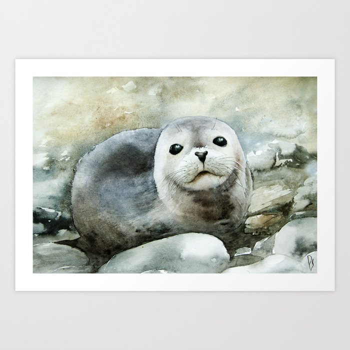 Curious seal on the pebbles Art Print