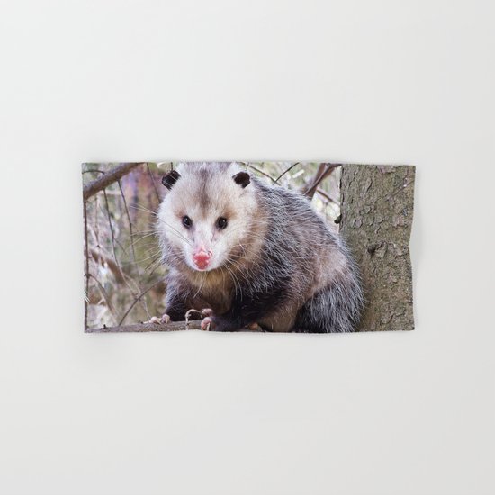 Possum Staredown Hand & Bath Towel