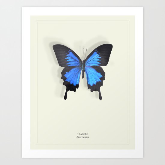 Brilliant Blue Butterfly Art Print