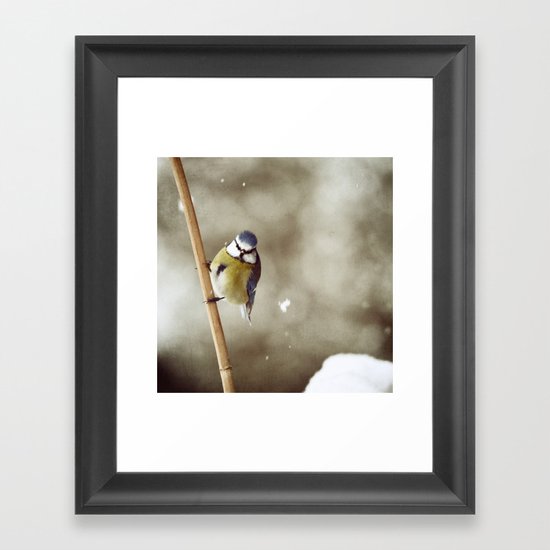 Minuscule bestiole ailée II Framed Art Print