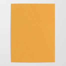 Golden Mid-tone Orange Solid Color Pairs Pantone Artisan's Gold 15-1049 TCX - Shades of Orange Hues Poster