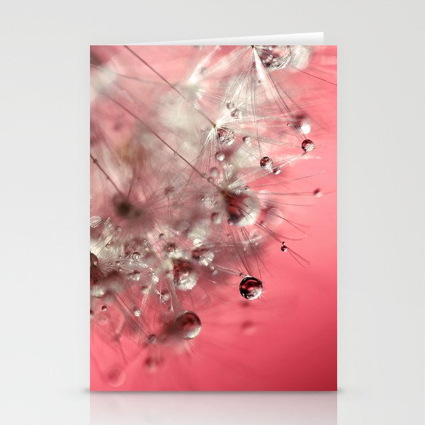 New Year's Pink Champagne Stationery Cards