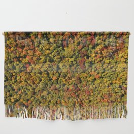 Scenic View from Above  Wall Hanging