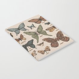 Butterflies and Moth Specimens Notebook