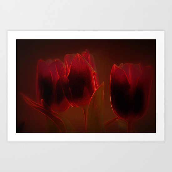 Rote Tulpen Art Print