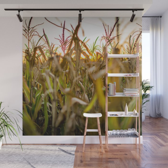 Argentina Photography - Big Corn Field Under The Sunset Wall Mural