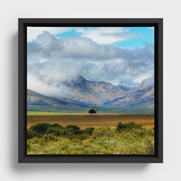 South Africa Photography - A Small Tree Surrounded By Big Landscape  Framed Canvas