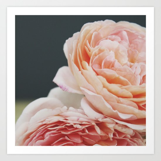 Summer Roses Art Print