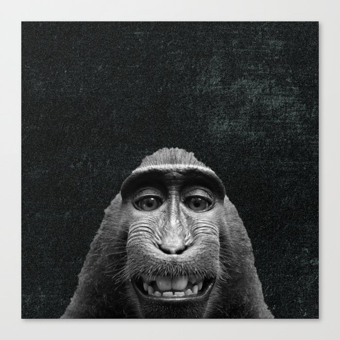 Monkey Business Canvas Print