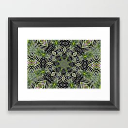 Kaleidoscope - Cucumber Vine and Trellis Framed Art Print