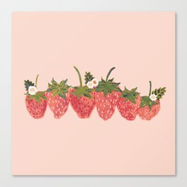 Strawberry Lineup Canvas Print